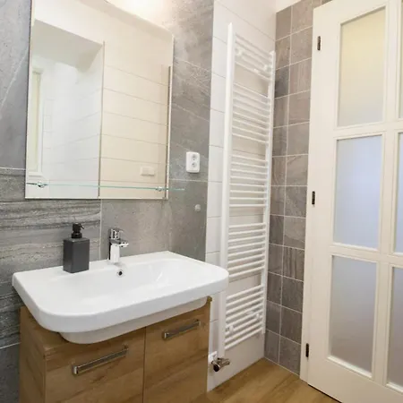 Elegantna Prostorna Stanovanja V Centru Ljubljane Apartment
